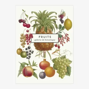 LES JOLIES PLANCHES Carnet Fruits 19x15cm