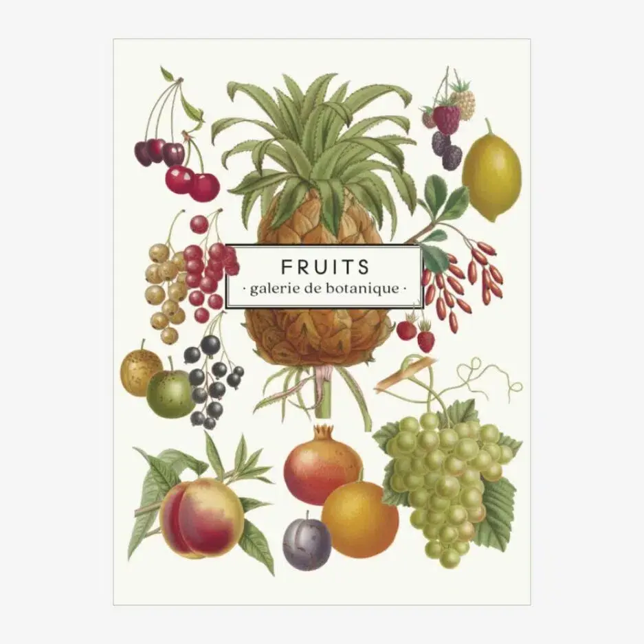 LES JOLIES PLANCHES Carnet Fruits 19x15cm