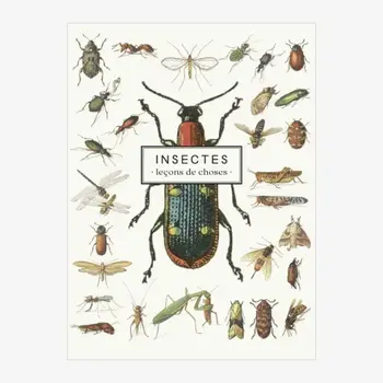 LES JOLIES PLANCHES Carnet Insectes 19x15cm