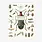LES JOLIES PLANCHES Carnet Insectes 19x15cm