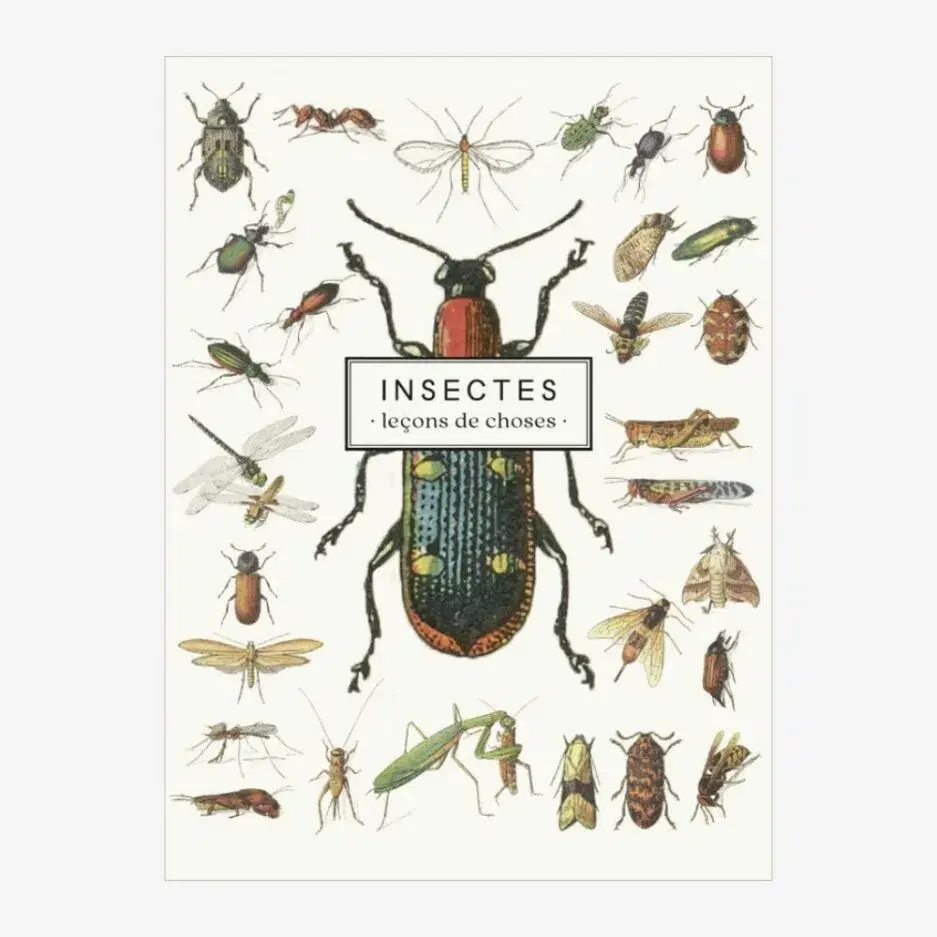 LES JOLIES PLANCHES Carnet Insectes 19x15cm