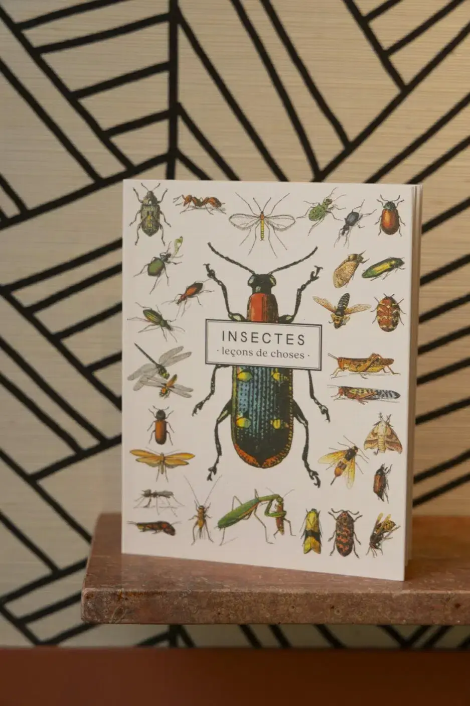 LES JOLIES PLANCHES Carnet Insectes 19x15cm