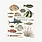 LES JOLIES PLANCHES Carnet Poissons 19x15cm