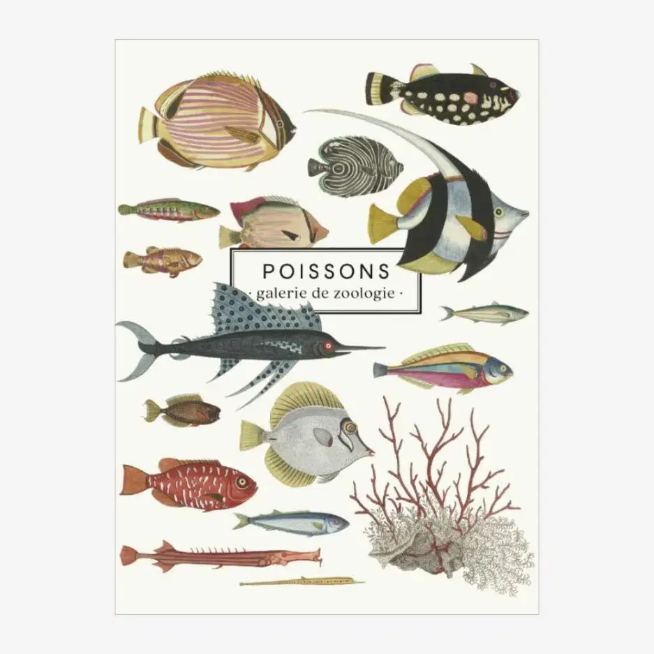 LES JOLIES PLANCHES Carnet Poissons 19x15cm