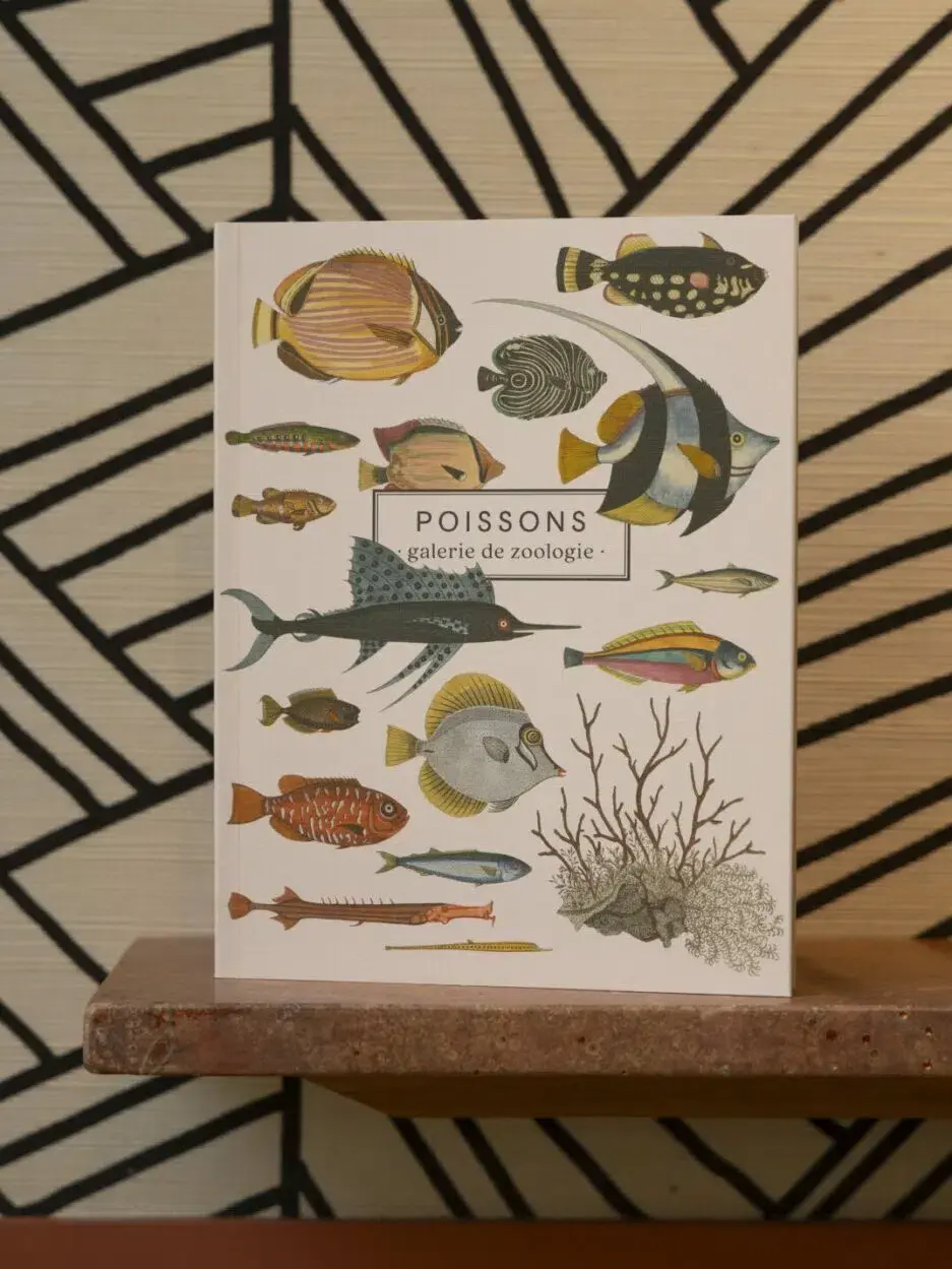 LES JOLIES PLANCHES Carnet Poissons 19x15cm