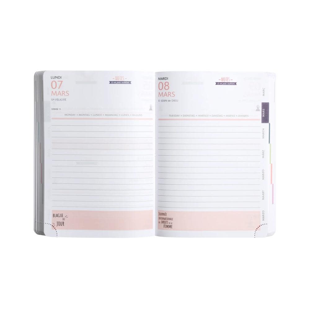 EXACOMPTA Agenda Journalier Forum Koverbook Blush Pastel 12x17cm couleurs aléatoires
