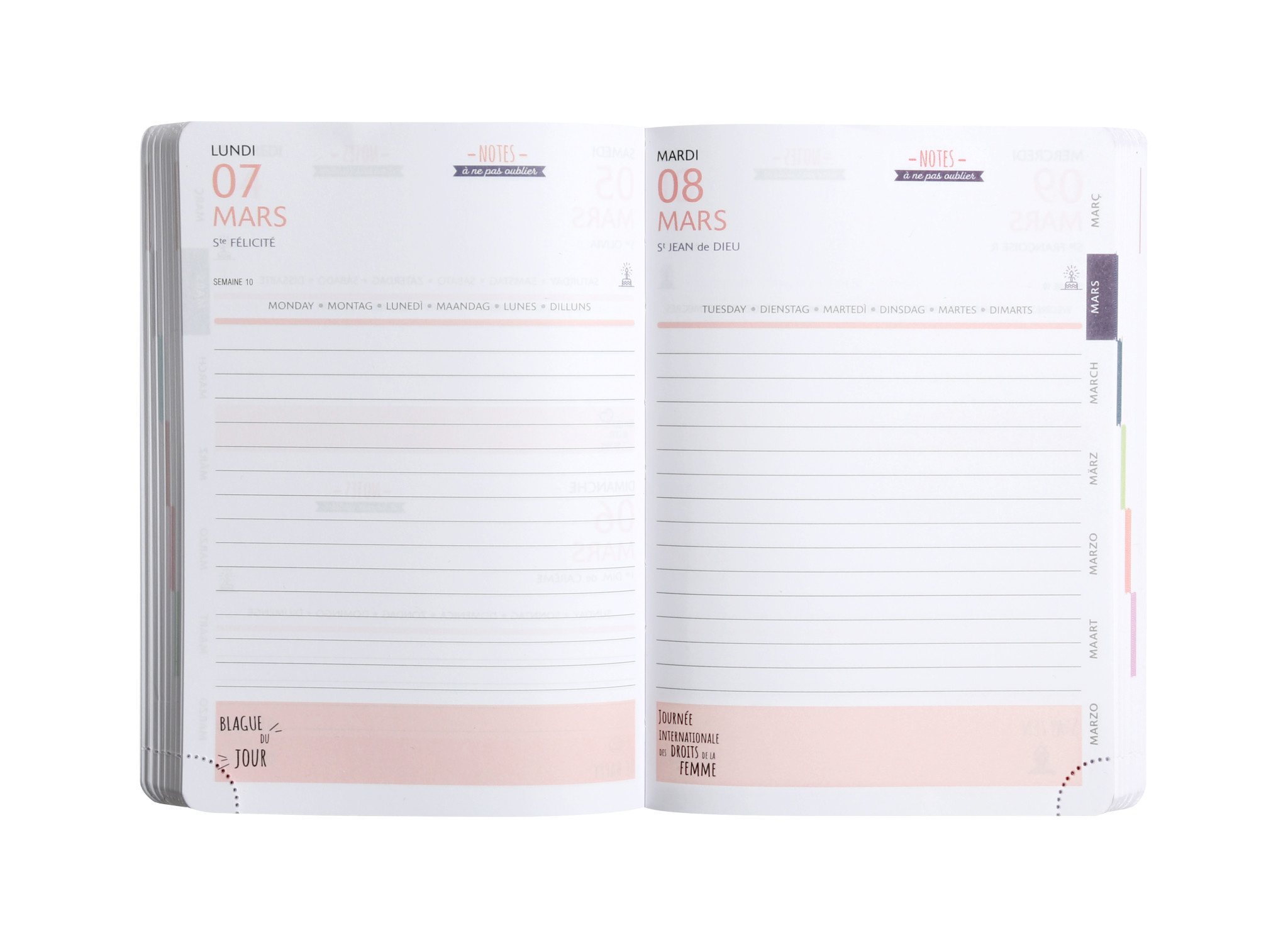 EXACOMPTA Agenda Journalier Forum Color Iris 12x17cm