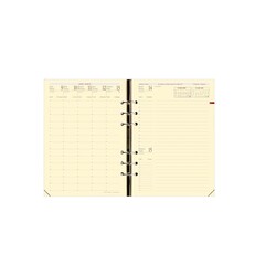 QUO VADIS Recharge Agenda Timer 21 16 mois Pre Fr Rech S/F