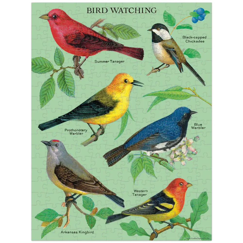 CAVALLINI & Co. Puzzle 240 pièces Vintage Observation des oiseaux 27x45cm