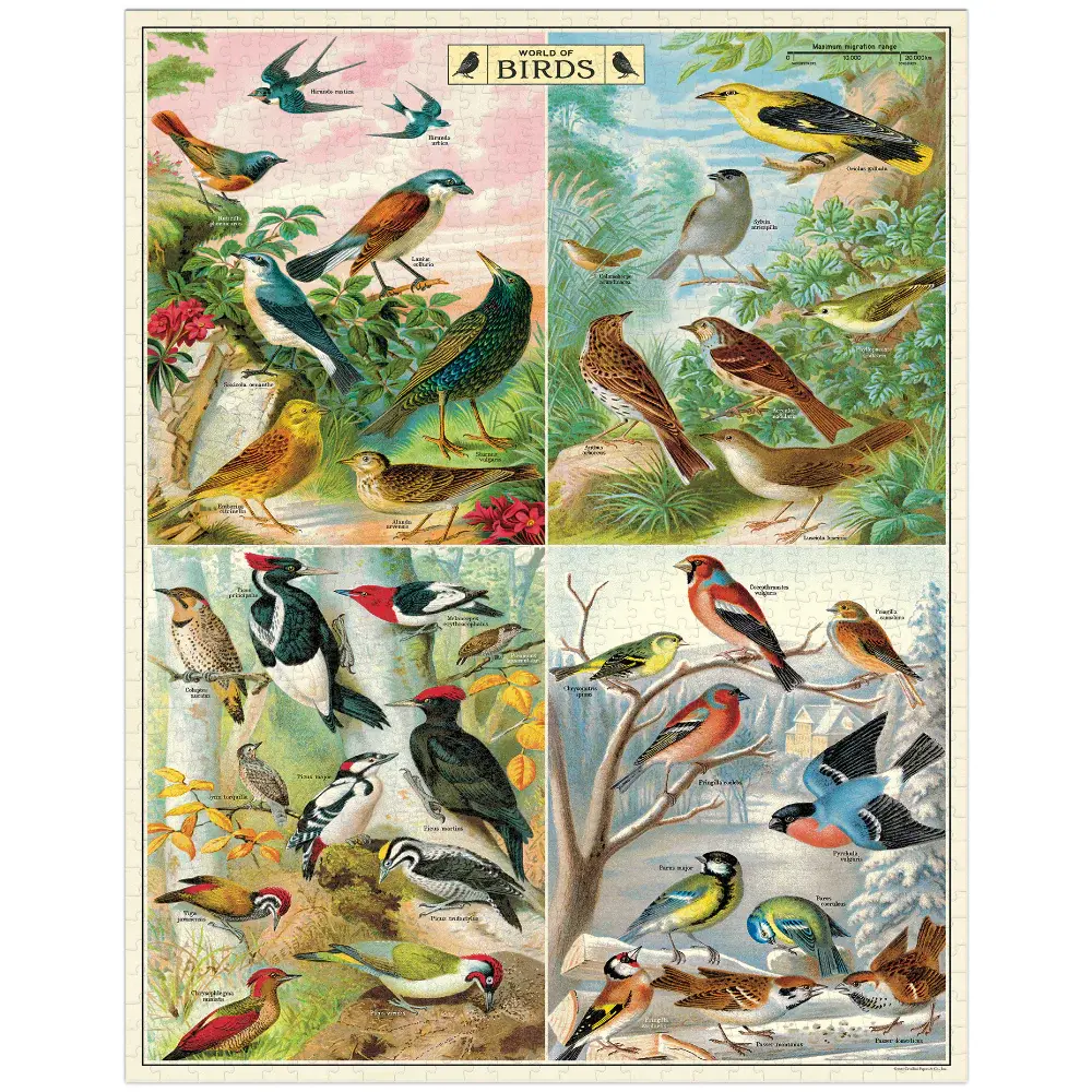 CAVALLINI & Co. Puzzle 1000 pièces Vintage Oiseaux du monde 55x70cm