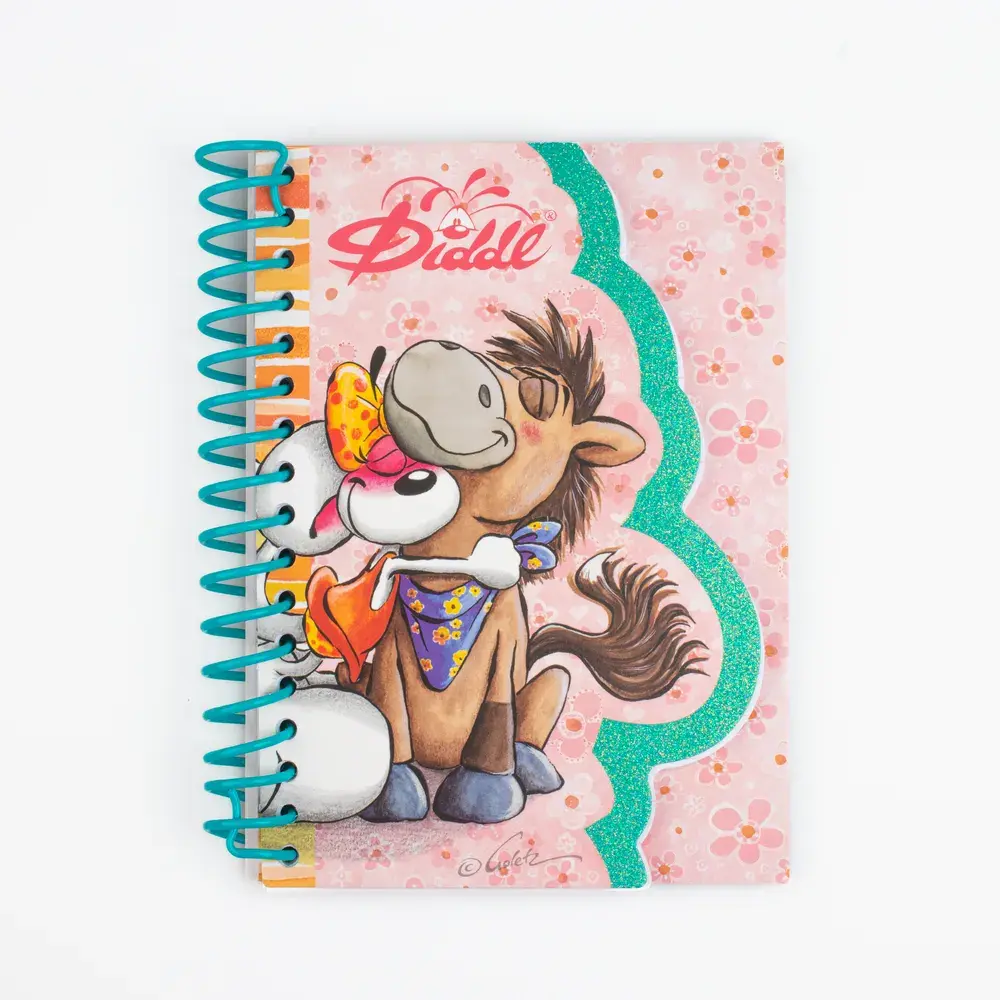 DIDDL Carnet forme A6 11.5x15cm modèles aléatoires
