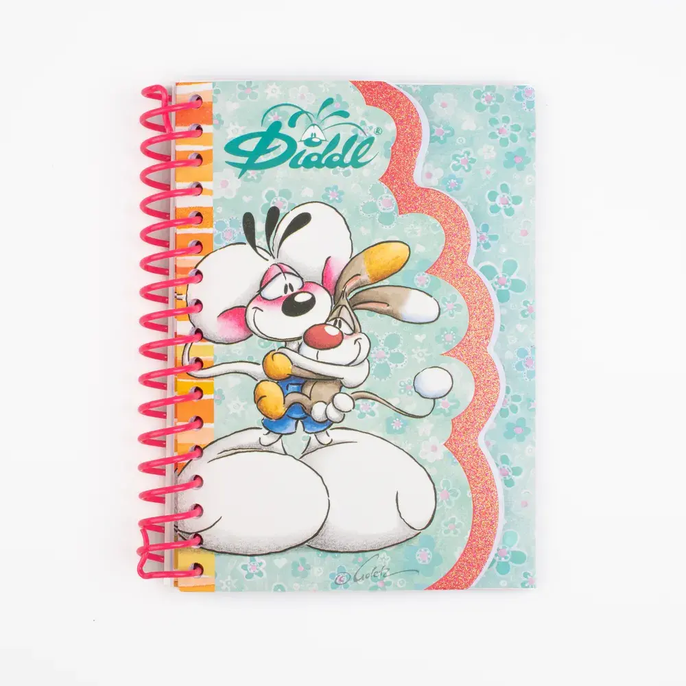 DIDDL Carnet forme A6 11.5x15cm modèles aléatoires