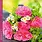 Calendriers 16x16 2027 Bouquets