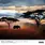 Calendriers 30x30 2027 Rêves d'Afrique