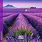 Calendriers 16x16 2027 Provence