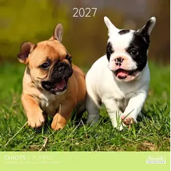 Calendriers 30x30 2027 Chiots