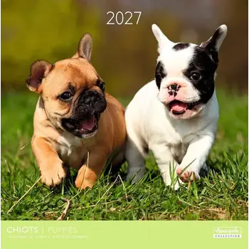 Calendriers 30x30 2027 Chiots