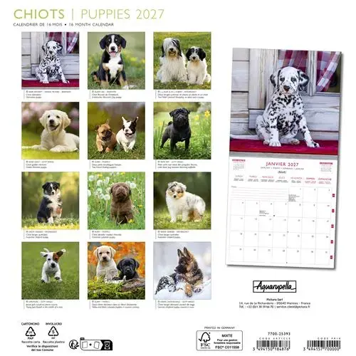 Calendriers 30x30 2027 Chiots