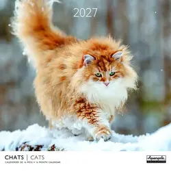Calendriers 30x30 2027 Chats