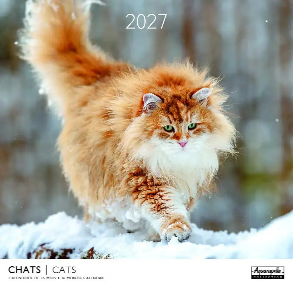 Calendriers 30x30 2027 Chats