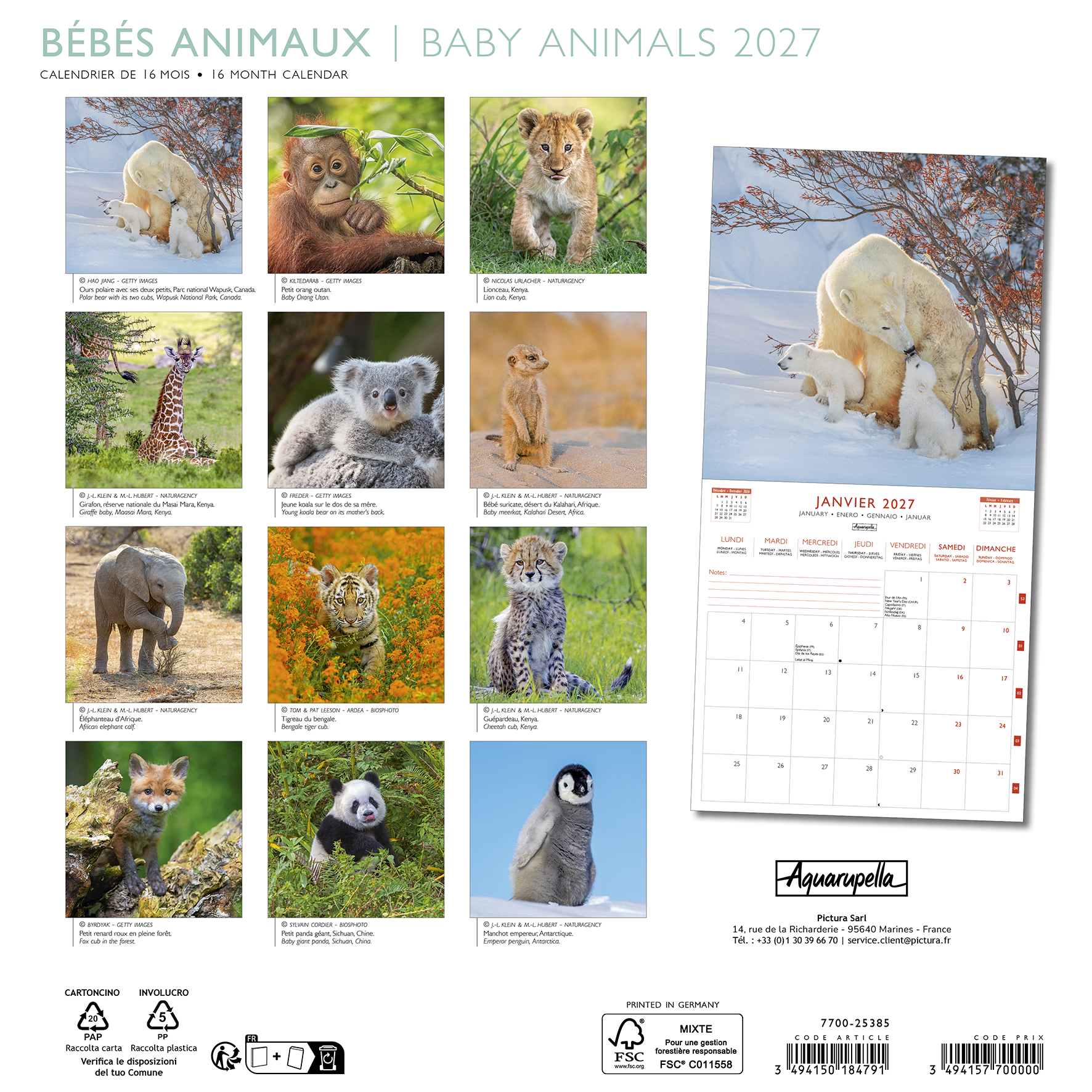 Calendriers 30x30 2027 Bébés animaux