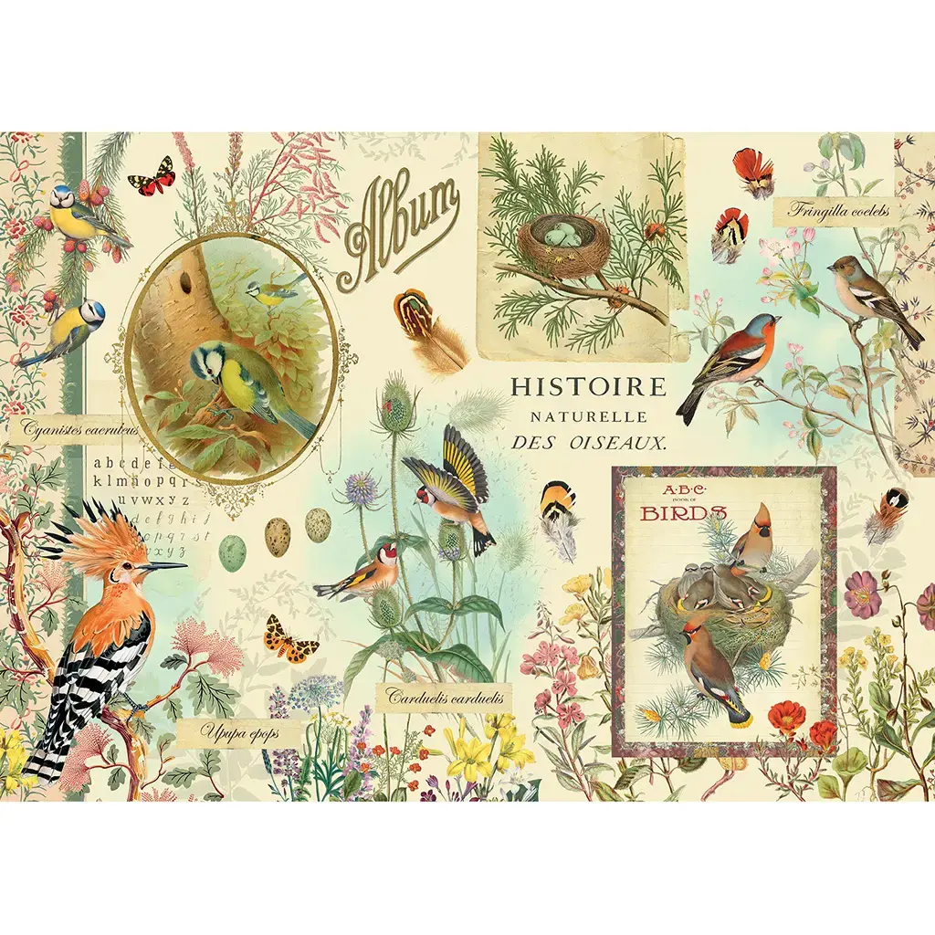Puzzle 1000 Pcs 50 X 70 Cm + Pochon - Oiseaux