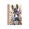 Carnet De Note 48 Pages 10.5 X 15 Cm - Ane