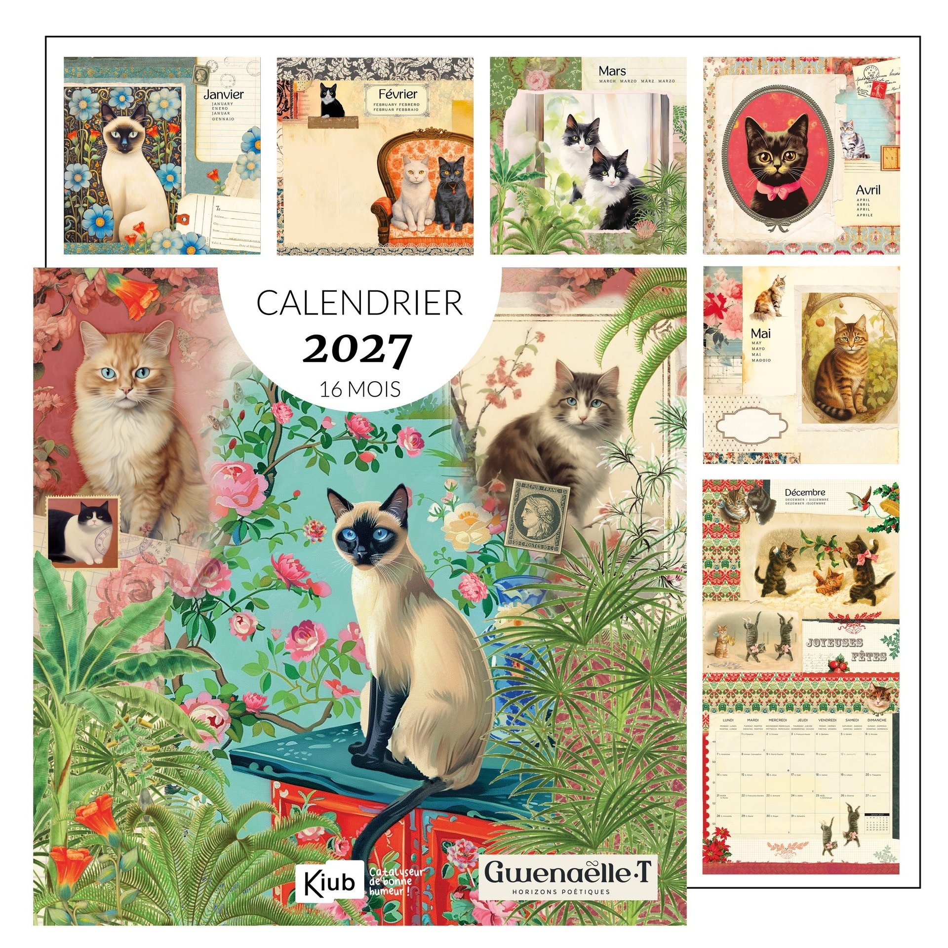 Calendrier 30x30 16 Mois 2027 Chats