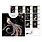 KIUB Calendrier 30x30 16 Mois 2027 - Bug Art Assortis Jewels