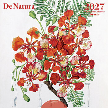 EDITIONS DU DESASTRE Calendrier 16 mois 30X30 De Natura 2027