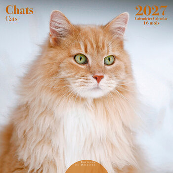 EDITIONS DU DESASTRE Calendrier 16 mois 30X30 Chats 2027