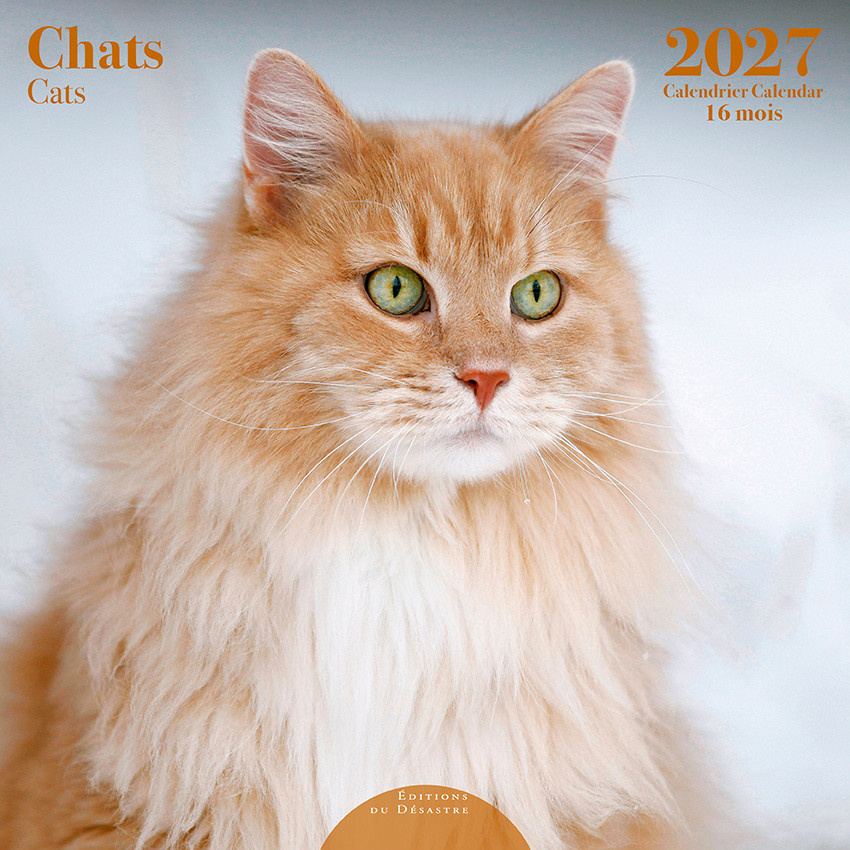 EDITIONS DU DESASTRE Calendrier 16 mois 30X30 Chats 2027
