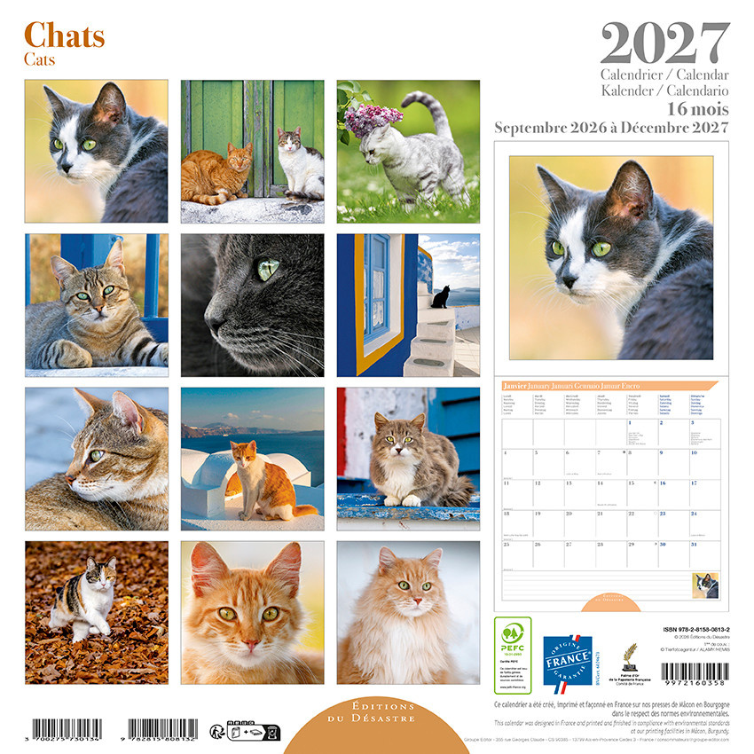 EDITIONS DU DESASTRE Calendrier 16 mois 30X30 Chats 2027