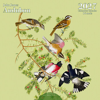 EDITIONS DU DESASTRE Calendrier 16 mois 30X30 Audubon 2027