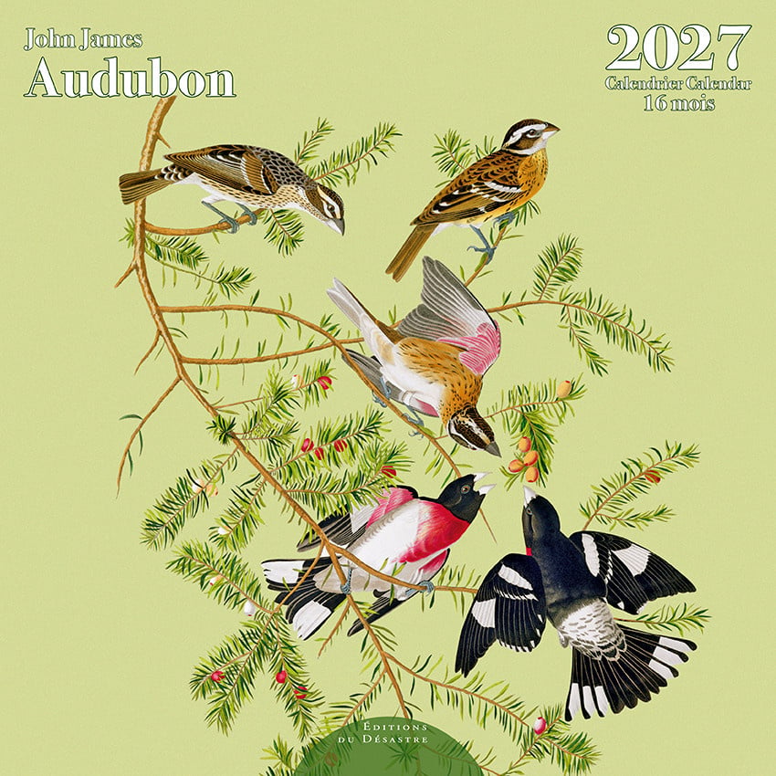EDITIONS DU DESASTRE Calendrier 16 mois 30X30 Audubon 2027
