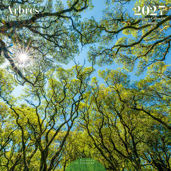 EDITIONS DU DESASTRE Calendrier 16 mois 30X30 Arbres 2027