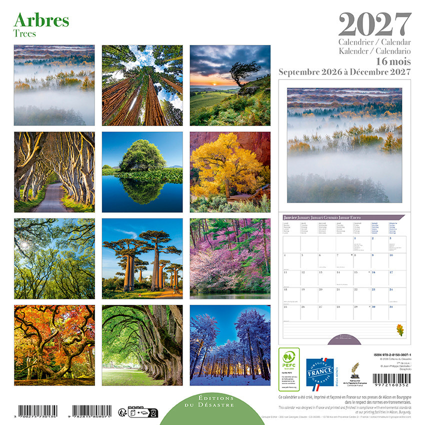 EDITIONS DU DESASTRE Calendrier 16 mois 30X30 Arbres 2027