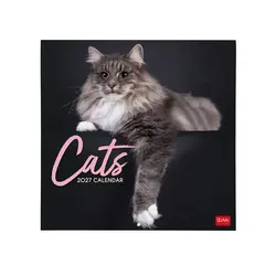 LEGAMI Wall Calendar 2027 - Cats - 30x29