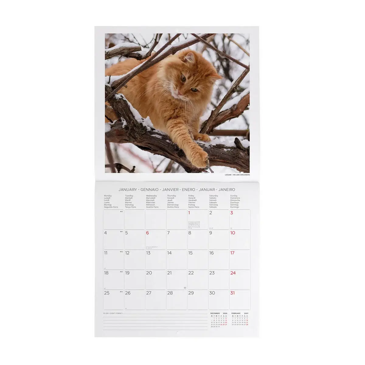 LEGAMI Wall Calendar 2027 - Cats - 30x29