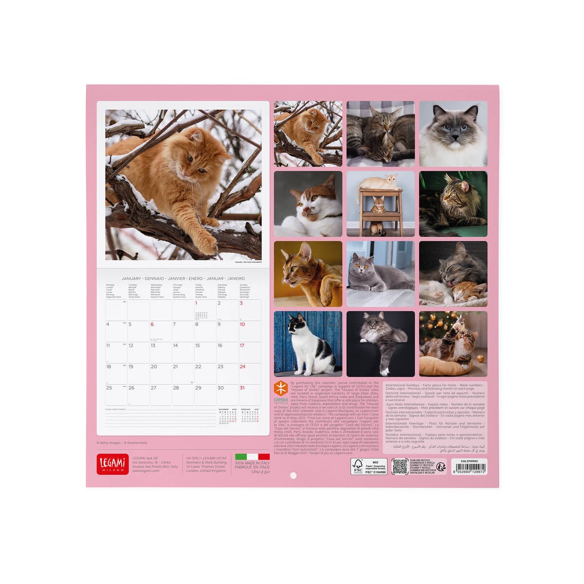 LEGAMI Wall Calendar 2027 - Cats - 30x29