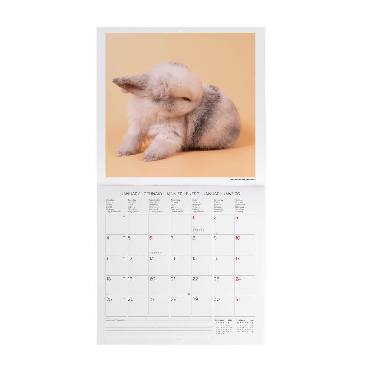LEGAMI Wall Calendar 2027 - Animals - Honey Bunny - 30x29