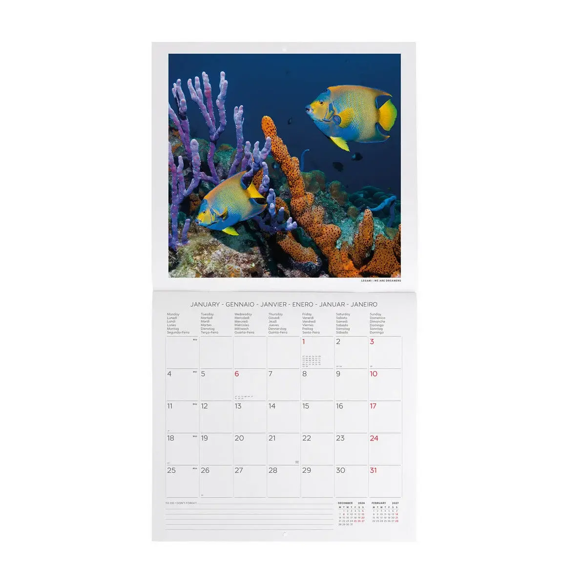 LEGAMI Wall Calendar 2027 - Animals - Under the Sea - 30x29