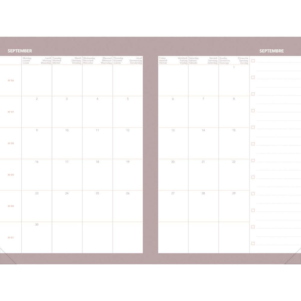 QUO VADIS Agenda Ministre Sept ML Festy rose 16x24cm