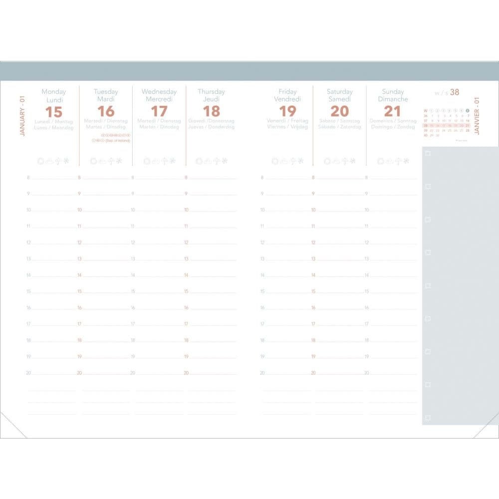 QUO VADIS Agenda Ministre Sept ML Festy céladon 16x24cm