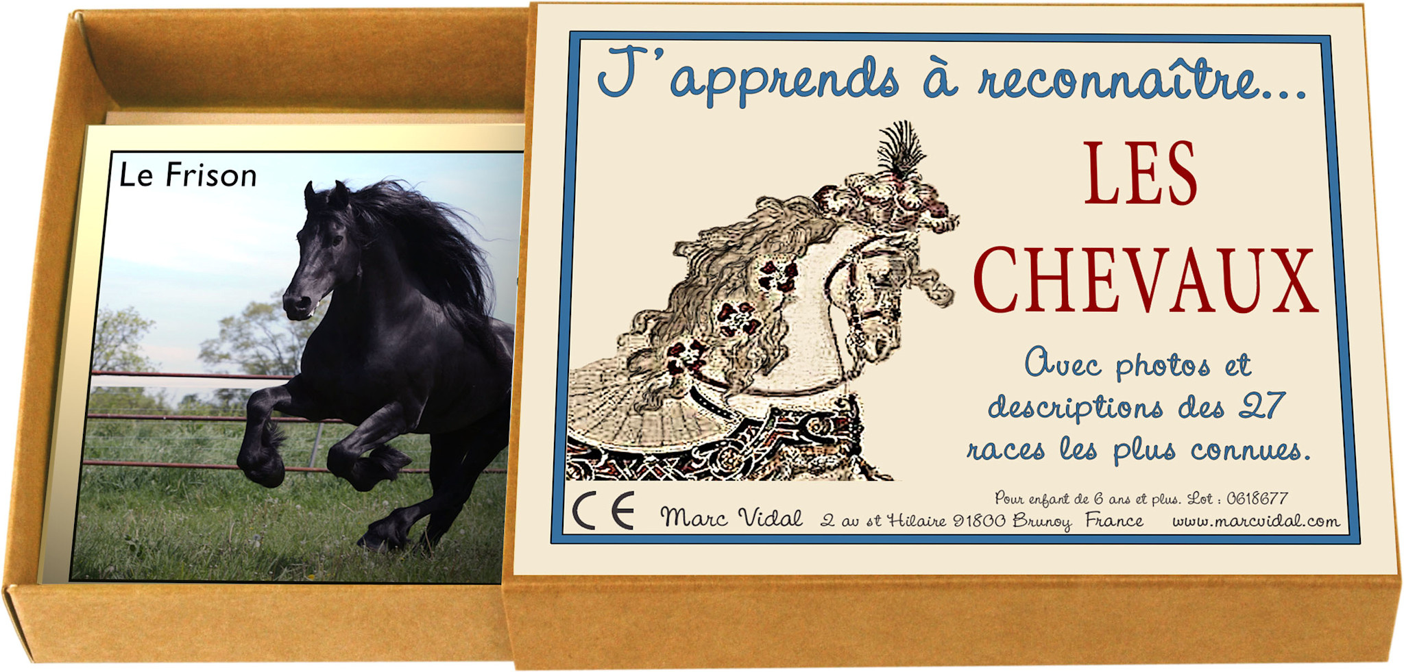 MARC VIDAL J'Apprends ... Les Chevaux
