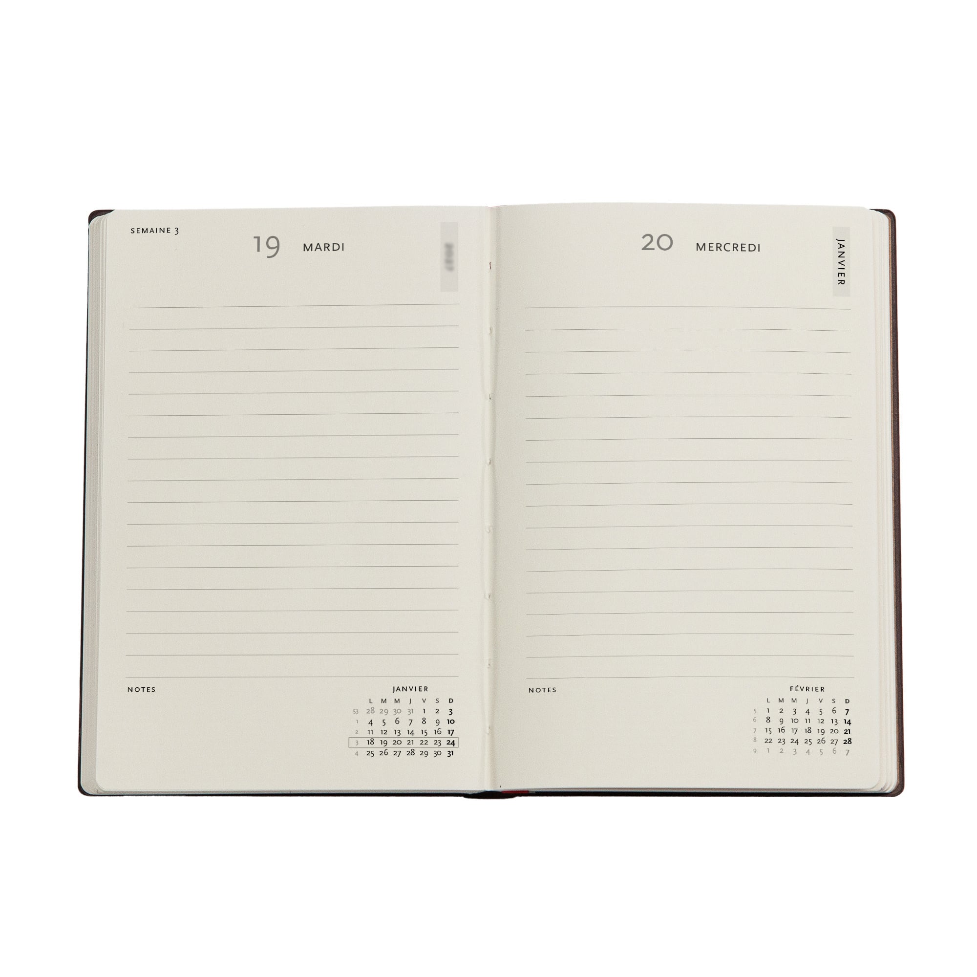 PAPERBLANKS Agenda Journalier Couverture rigide 2027 Nature Morte de Van Gogh Mini
