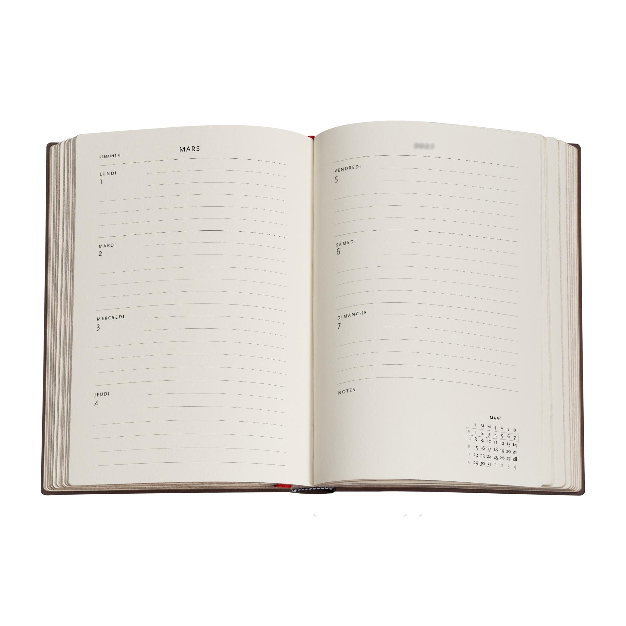 PAPERBLANKS Agenda semainier horizontal Couverture souple 2027 L’Ascension du Lynx Midi
