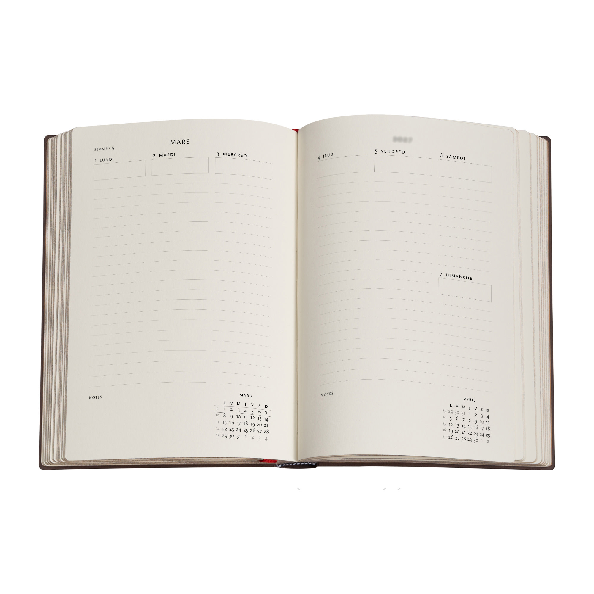 PAPERBLANKS Agenda semainier vertical Couverture rigide 2027 Anémone Midi