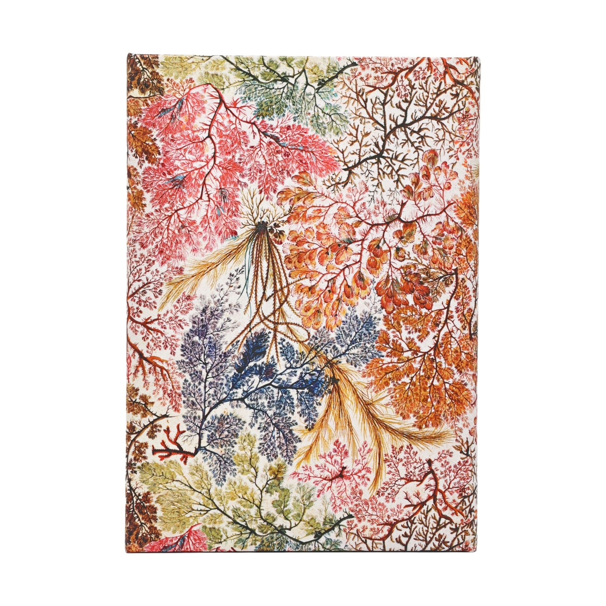 PAPERBLANKS Agenda semainier vertical Couverture rigide 2027 Anémone Midi