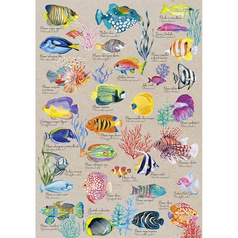 SENTOSPHERE Puzzle 500 P - Les Poissons Exotiques